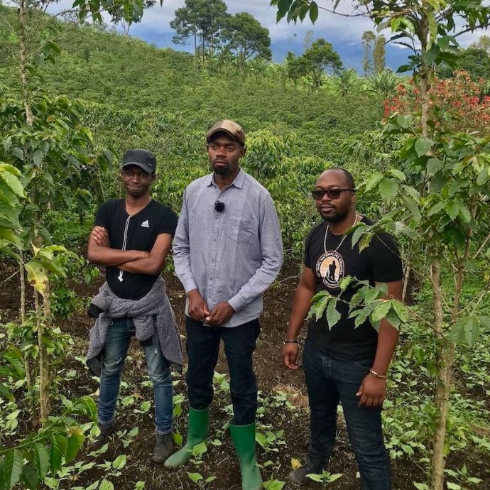 Three Congolese coffee farmers in the plantation