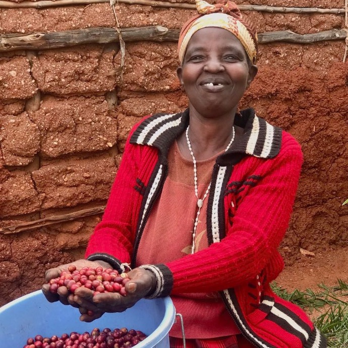Smiling African Female Coffee farmer with some coffee cherry